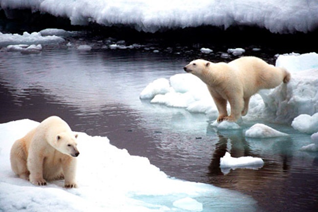 melting the Arctic